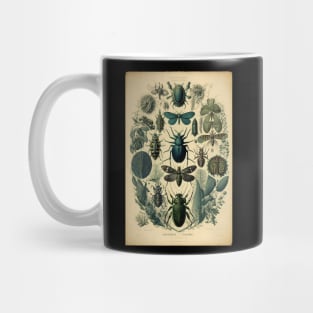 Faux Insect Chart Mug